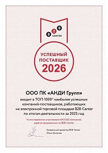 Диплом B2B-Center «Успешный поставщик 2026», ООО ПК АНДИ Групп